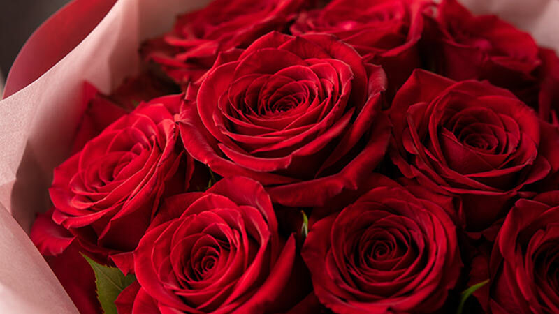Romance Flowers