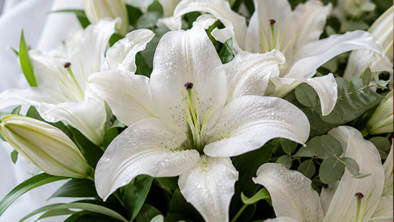 Sympathy Flowers