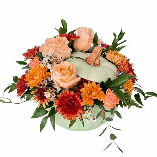 Sage green pumpkin vase filled with peach roses, rust and orange mums, white waxflower, and trailing greens.